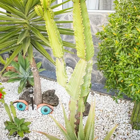 Chiara, A Real Homeaway